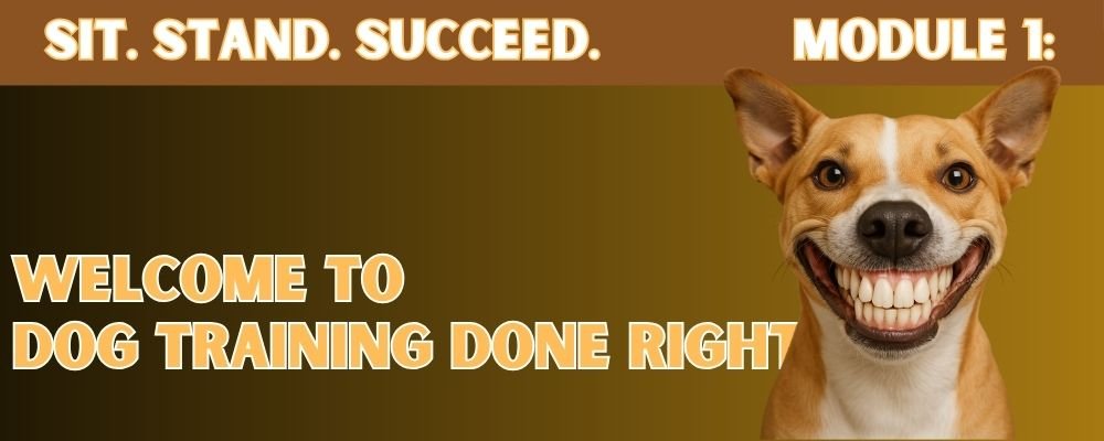 Dog Training Done Right
