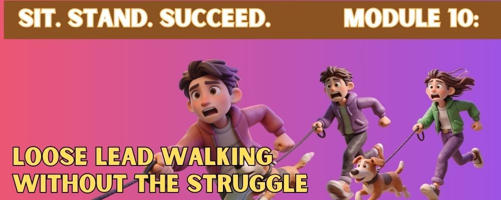 Loose leash Walking for dogs