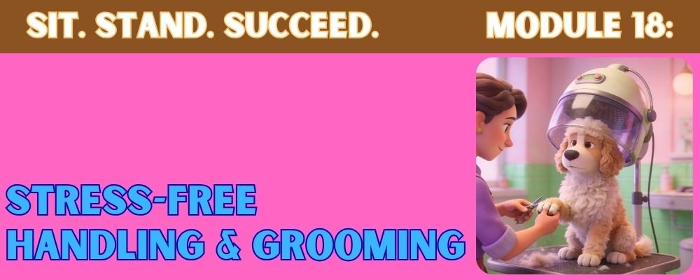 Dog Grooming