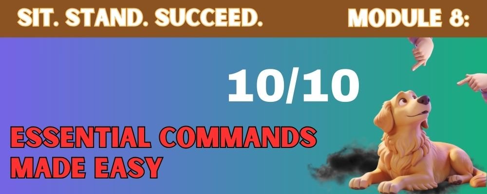 Dog Essential Commands Made Easy