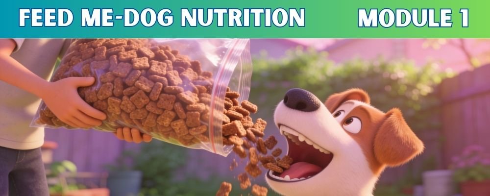 Dog Nutrition