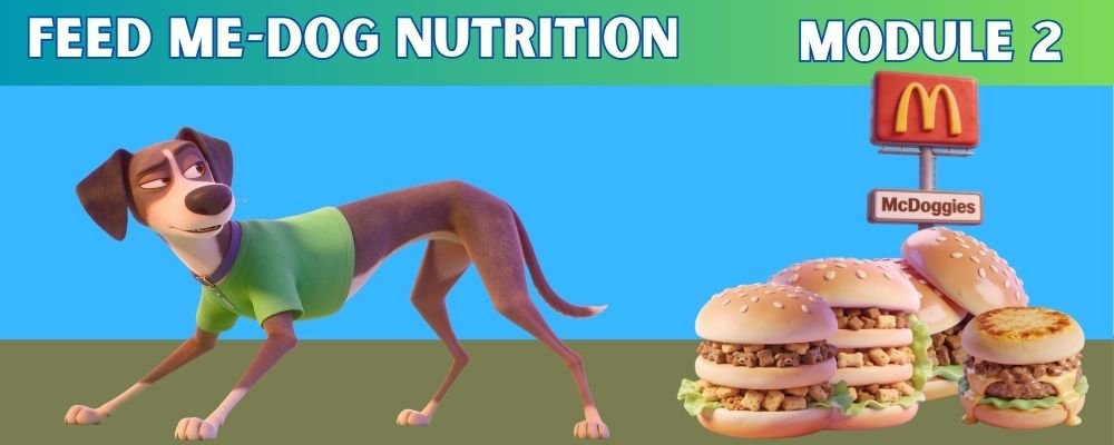 Dog Nutrition