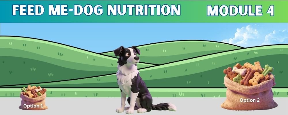 Dog Nutrition