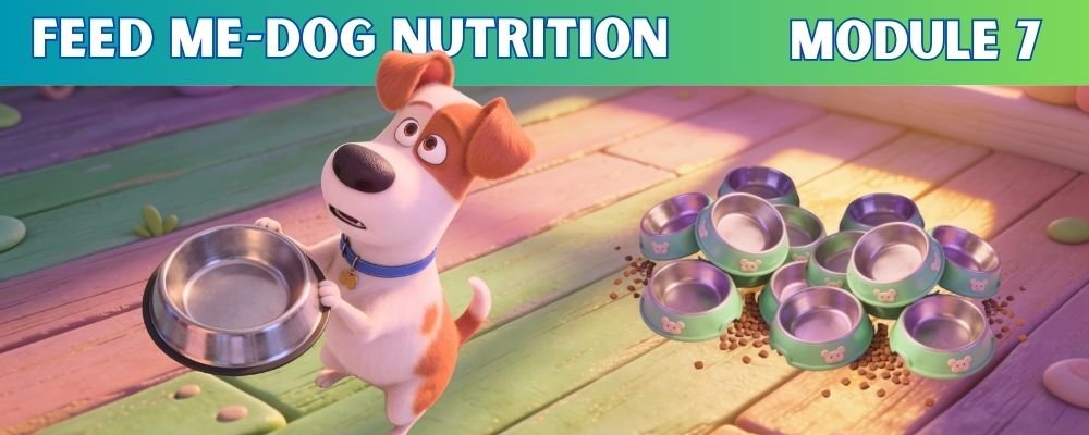 Dog Nutrition