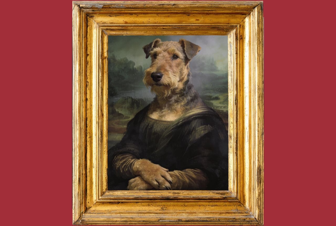 The-Mona-Terrier