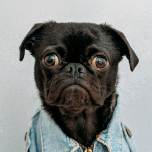 Profile photo of Nicky-V