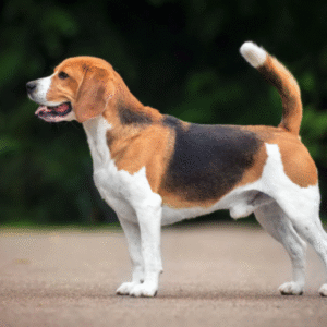 Profile photo of Margaret