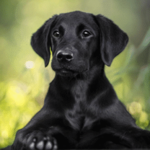 Profile photo of mateo-G