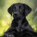 Profile photo of mateo-G