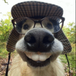 Profile photo of Maverick-Coops