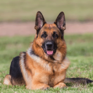 Profile photo of George-M