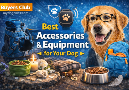 Best dog gear on mydogrules.com.au