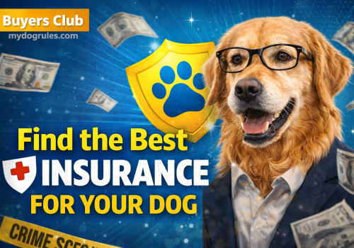 Dog Insurance